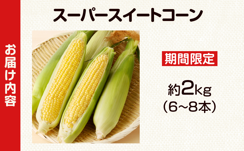 先行予約≪期間限定≫スーパースイートコーン(約2kg)お試し用 とうもろこし 野菜 国産_T003-0035