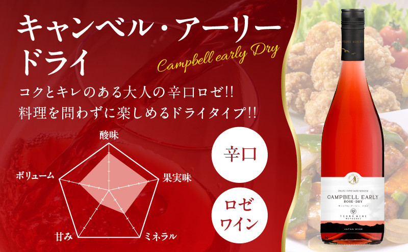≪定期便≫＼1か月に2回お届け!!／都農ワイン×ロースステーキ★最強コンビ 肉 牛肉 酒 飲料 国産_T999-0046