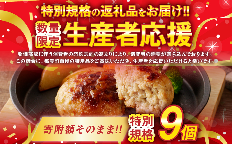 生産者応援!!【期間・数量限定特別規格】宮崎県産豚プレミアムハンバーグ(計9個) 肉 豚肉 加工品 惣菜 国産_T001-0091-ZO