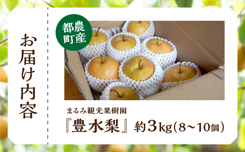 先行予約≪期間限定≫まるみ観光果樹園の『豊水梨』(約3kg) なし 果物 フルーツ 天然 ミネラル栽培_T036-0015