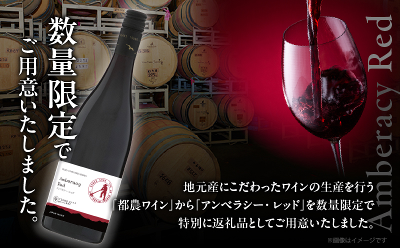 【数量限定】アンベラシー レッド(計1本) ワイン 酒 アルコール 国産_T014-046