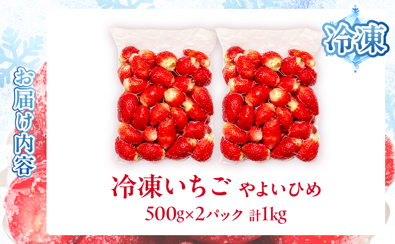 ≪訳あり≫都農町産「冷凍いちご(やよいひめ）」計1kg フルーツ 果物 デザート イチゴ 国産_T059-003