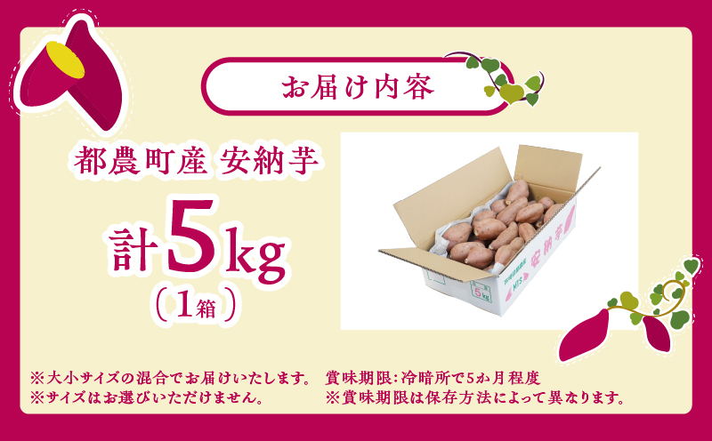 先行予約≪期間限定≫都農町産安納芋(計5kg) 野菜 芋 イモ 国産_T016-0011