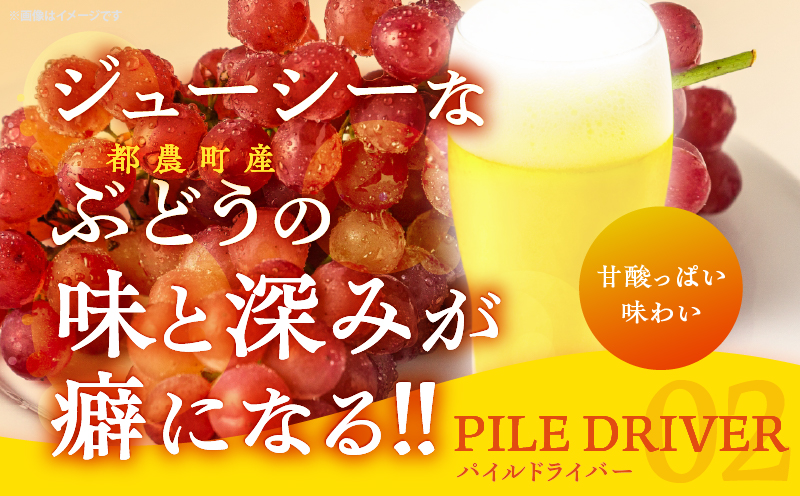 【2週間以内発送】都農クラフトビール詰め合わせ6本セット 酒 アルコール 飲料 国産_T016-0031
