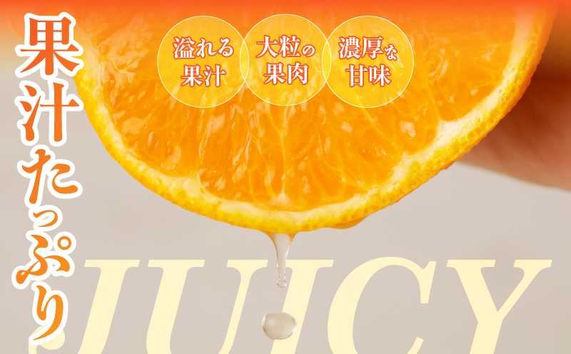 先行予約≪期間限定≫都農町産「不知火(しらぬい)計6kg」 フルーツ 果物 柑橘 みかん 国産_T008-002