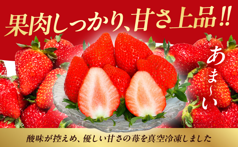 ≪訳あり≫都農町産「冷凍いちご(やよいひめ）」計1kg フルーツ 果物 デザート イチゴ 国産_T059-003