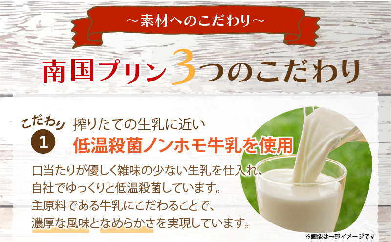 南国プリン「カタセボン(計6個)」 スイーツ 洋菓子 国産T038-0021