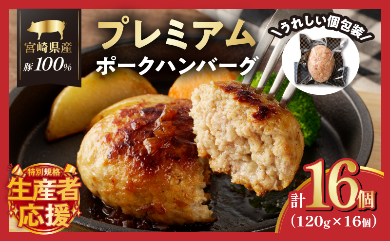 生産者応援!!【期間・数量限定特別規格】宮崎県産豚プレミアムハンバーグ(計16個) 肉 豚肉 加工品 惣菜 国産_T001-0111-ZO