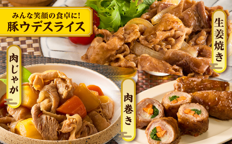 宮崎県産豚スライス(ウデ・モモ)&粗挽きウインナーセット合計4.68kg 肉 豚 豚肉 おかず 国産_T030-1763