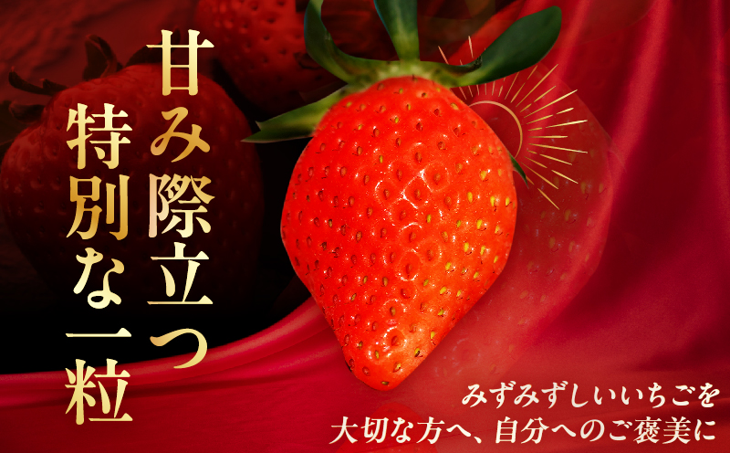 ≪数量限定≫都農町産いちご「やよいひめ」計1kg フルーツ 果物 デザート イチゴ 国産_T059-0025