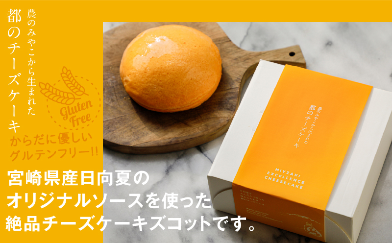 農の都で生まれた「都のチーズケーキ」計1個 スイーツ 洋菓子 国産_T038-009