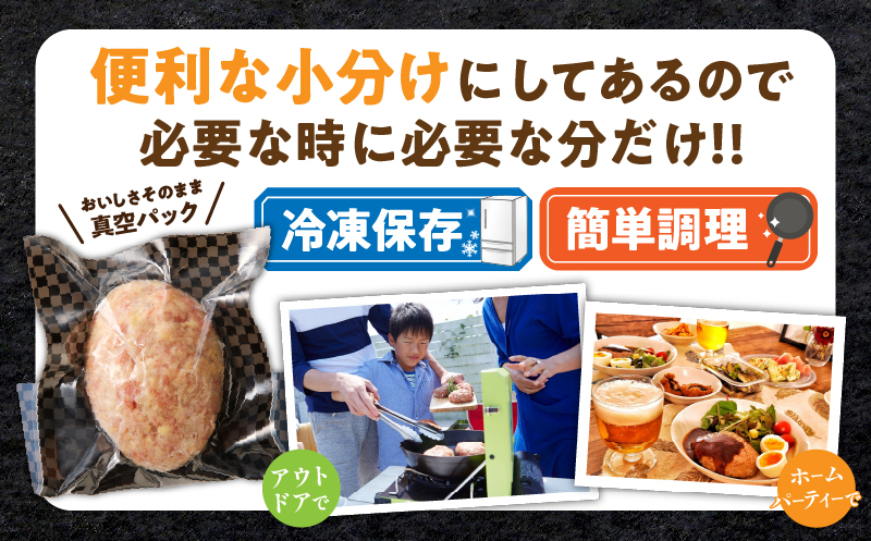 宮崎県産豚プレミアムハンバーグ(計15個) 肉 豚肉 加工品 惣菜 国産_T001-0111