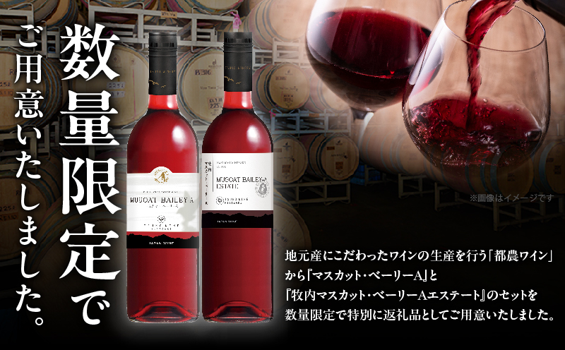 【数量限定】マスカットベリーベリー2本セット ワイン 酒 飲料 アルコール 国産_T014-057