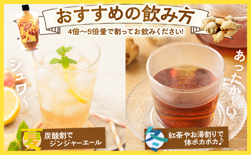都農町産ジンジャーシロップ(計1本) 生姜 加工品 国産_T024-013