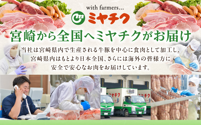 宮崎県産豚肉6種盛り合わせセット(合計1.9kg) 肉 豚 豚肉 おかず 国産_T030-227