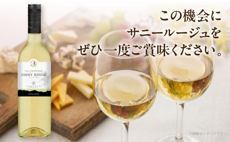 【数量限定】サニールージュ(計1本) 酒 飲料 アルコール 国産_T014-025