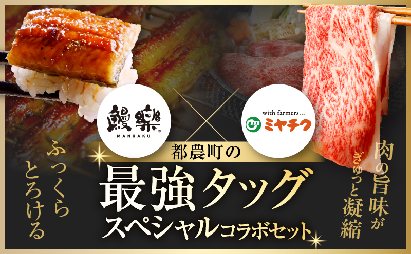 ≪数量限定≫うなぎ×黒毛和牛(経産牛) 都農町最強セットD 肉 牛 牛肉 おかず 国産_T030-1323