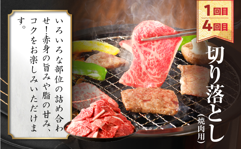 ≪6か月定期便≫夢の宮崎牛食べつくしセット(総重量6kg) 肉 牛 牛肉 おかず 国産_T030-1433