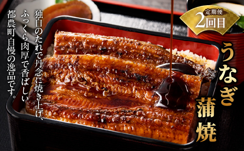 ≪定期便≫＼1か月に2回お届け!!／宮崎牛ロースステーキ×うなぎ蒲焼★最強コンビ 肉 牛肉 鰻 魚介 国産_T999-0026