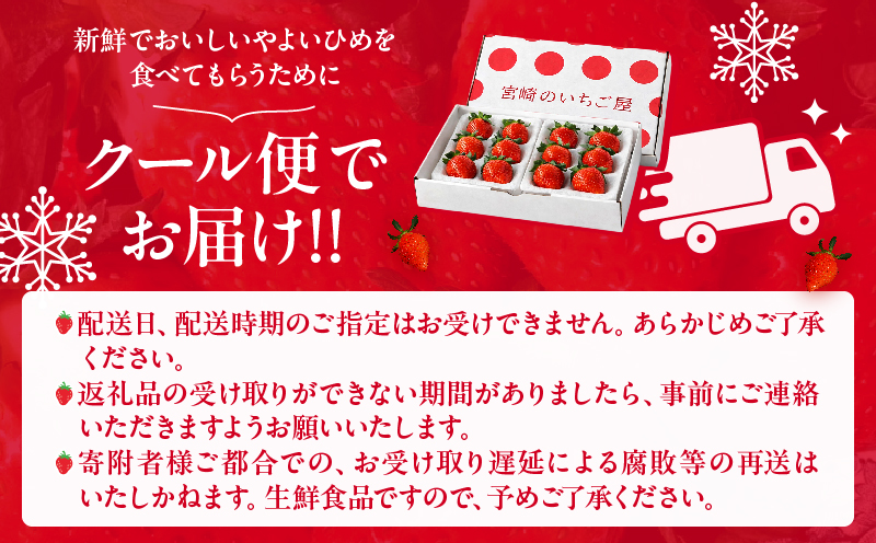 ≪数量限定≫都農町産いちご「やよいひめ」計500g フルーツ 果物 デザート イチゴ 国産_T059-0015