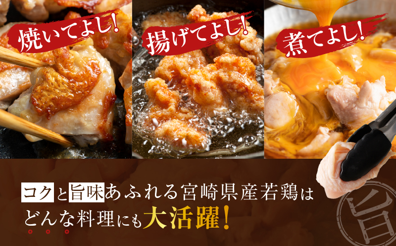 宮崎県産若鶏モモ肉切身＆炭火焼セット(合計2.25kg) 鶏肉 加工品 国産_T017-0031