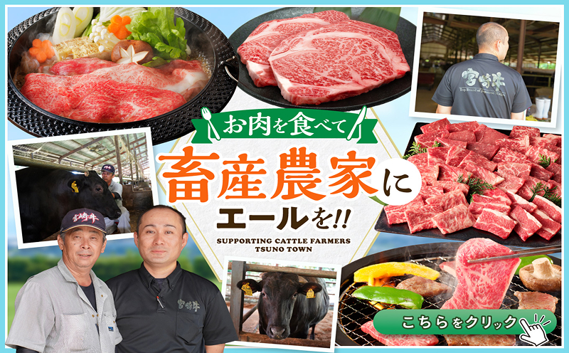 【畜産農家応援】≪肉質等級4等級以上≫宮崎県産黒毛和牛霜降り肩ロース(焼肉)計300g 肉 牛 牛肉 おかず 国産_T030-222