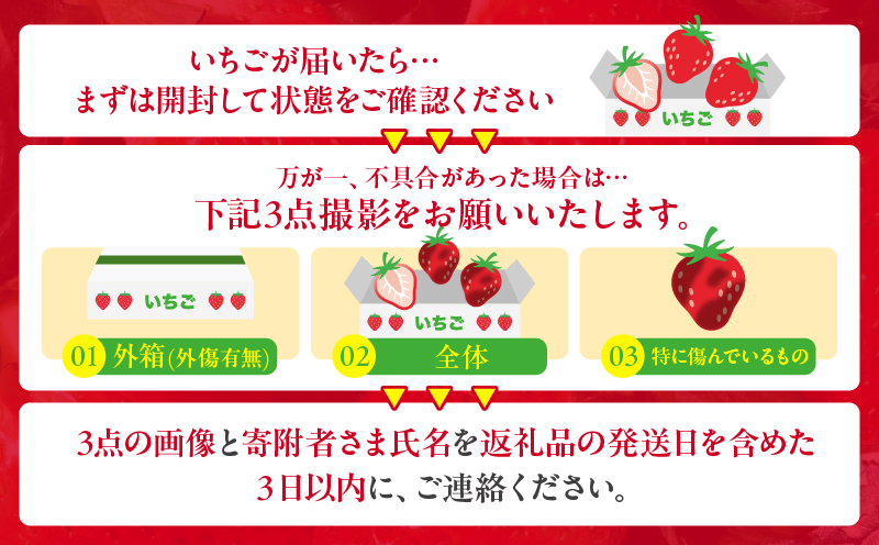 ≪数量限定≫都農町産いちご「やよいひめ」計500g フルーツ 果物 デザート イチゴ 国産_T059-0015