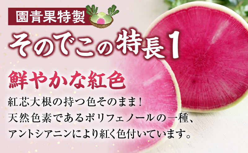 先行予約≪期間限定≫大和ルージュ＆そのでこセット(合計1.5kg以上) 野菜 加工品 国産_T003-0145
