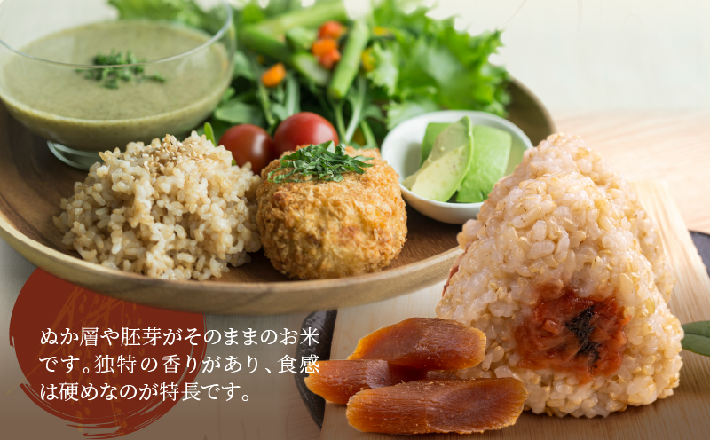 先行予約≪都農町産≫新米コシヒカリ(玄米)5kg 米 お米 ご飯 国産_T031-0035