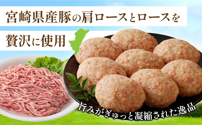 宮崎県産豚プレミアムハンバーグ(計15個) 肉 豚肉 加工品 惣菜 国産_T001-0111