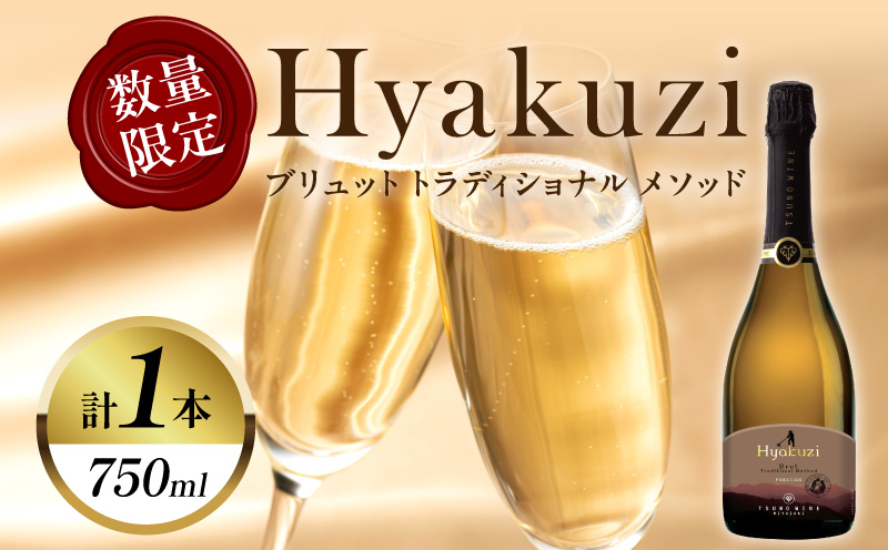 【数量限定】Hyakuzi ブリュット トラディショナル メソッド(計1本) 酒 飲料 アルコール 国産_T014-008