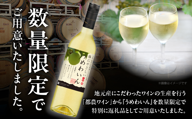 【数量限定】うめわいん(計1本) 酒 飲料 アルコール 国産_T014-029