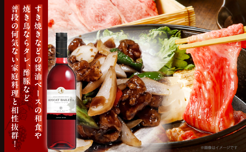 【数量限定】マスカット・ベーリーA (計1本) 酒 飲料 アルコール 国産_T014-024