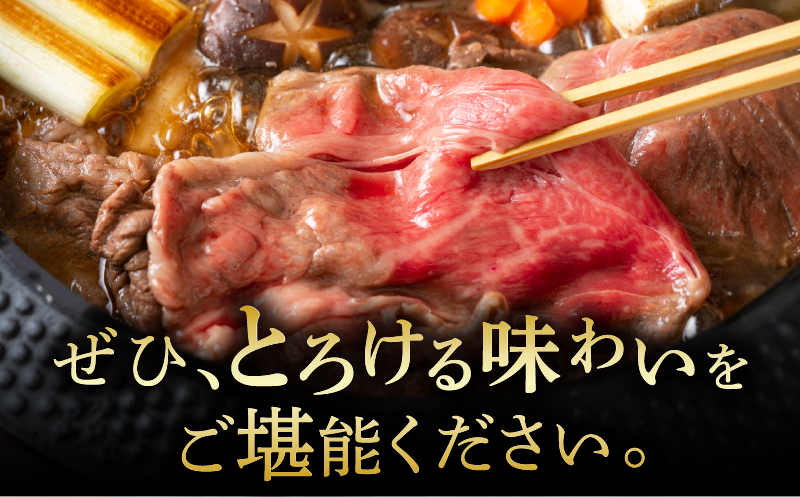 6か月お楽しみ定期便『宮崎牛スペシャル6種セット』総重量4.6kg 肉 牛 牛肉 焼肉 国産_T009-0022