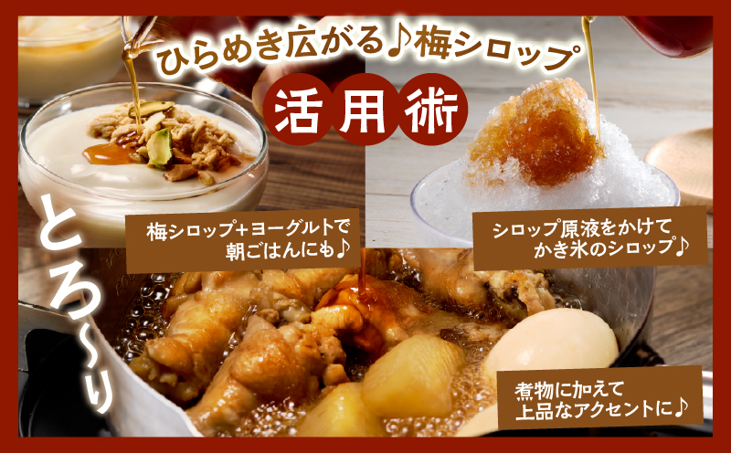 ≪先行予約≫＼ポスト投函／都農町産 蜜梅シロップ(計1本) 梅 加工品 国産_T024-014