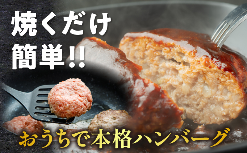 宮崎県産豚プレミアムハンバーグ(計10個) 肉 豚肉 加工品 惣菜 国産_T001-0101