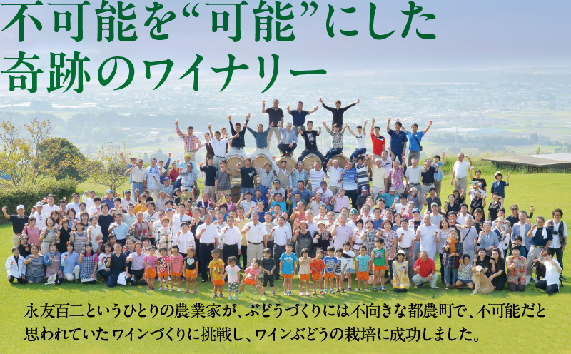 ＼年内発送!!／都農ワインセレクトセット(合計3本) 酒 飲料 アルコール 国産_T014-001-N