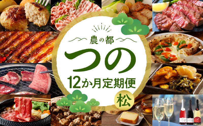 ≪12か月お楽しみ定期便≫都農町定期便(松) 肉 加工品 デザート 国産_T999-0106