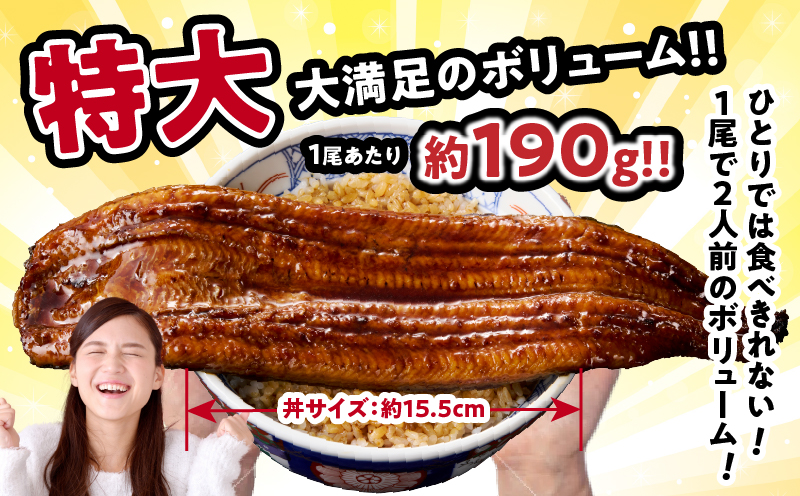 【2週間以内発送・選べる3回定期便】うなぎ蒲焼特大2尾(さんしょう・たれ付き)計380g以上