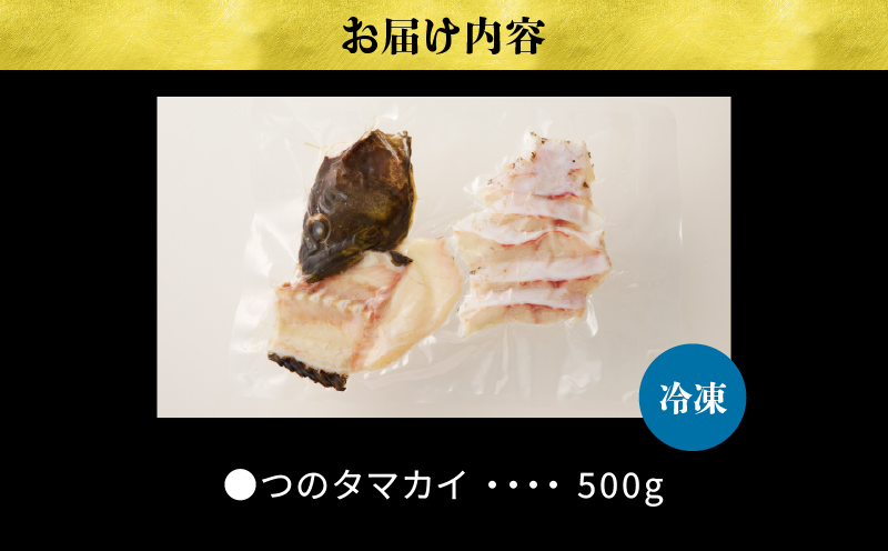 都農町産「つのタマカイ(鍋用・ぶつ切り)2〜3人前」計500g 魚 魚介 養殖 希少 国産_T012-001