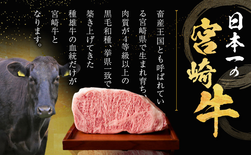 ≪定期便≫＼1か月に2回お届け!!／都農ワイン×ロースステーキ★最強コンビ 肉 牛肉 酒 飲料 国産_T999-0046