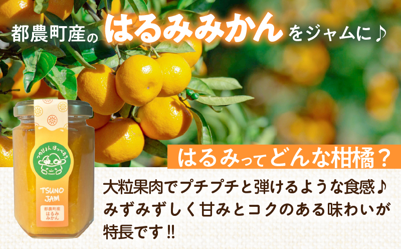 TSUNO JAM2種食べ比べセット(合計2個) 加工食品 フルーツ 果物 国産_T043-009