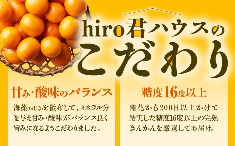 先行予約≪数量限定≫hiro君ハウスの『完熟きんかん(計1kg)』化粧箱入り フルーツ 果物 金柑 国産_T022-002