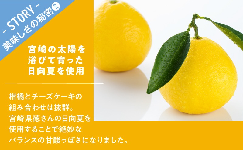 農の都で生まれた「都のチーズケーキ」計1個 スイーツ 洋菓子 国産_T038-009