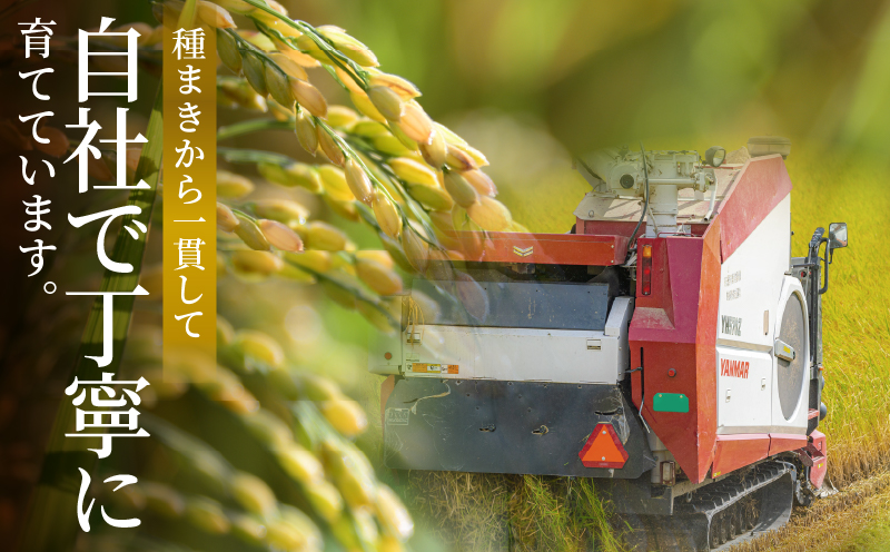 先行予約≪都農町産≫新米コシヒカリ(玄米)計10kg 米 お米 ご飯 国産_T031-0045