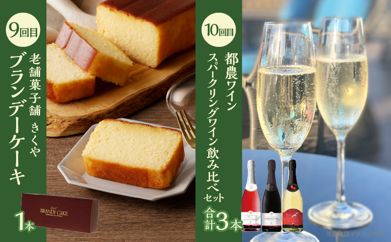≪12か月お楽しみ定期便≫都農町定期便(竹) 肉 加工品 デザート 国産_T999-0096