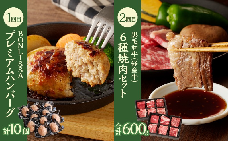 ≪12か月お楽しみ定期便≫都農町定期便(梅) 肉 加工品 デザート 国産_T999-0086
