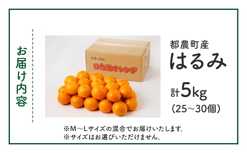 先行予約≪数量限定≫希少な柑橘『はるみ』計5kg フルーツ 果物 柑橘 みかん 国産_T008-001