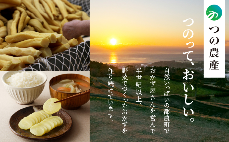 【2週間以内発送】つの農産お漬物ギフトセット 漬物 おかず 野菜 加工品 国産_T037-002
