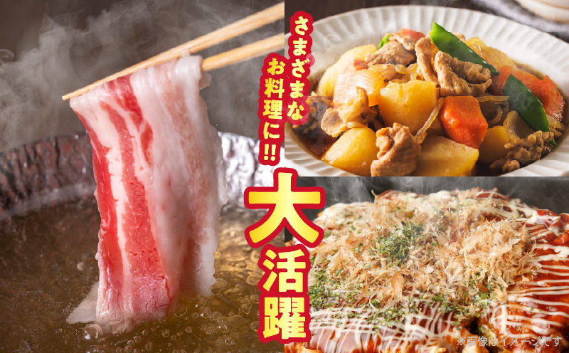 【2週間以内発送】宮崎県産豚バラしゃぶしゃぶ（計1.5kg）肉 豚 豚肉 おかず 国産_T025-043